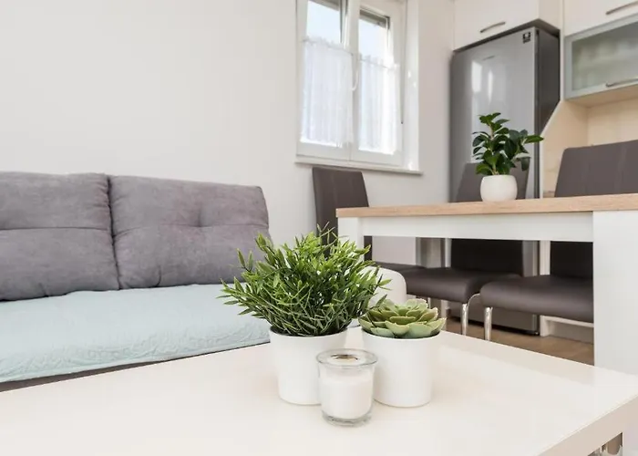 Zoran Brand New Apartment-garden Apartman *