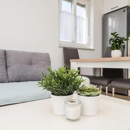 Zoran Brand New Apartment-garden 아파트 *